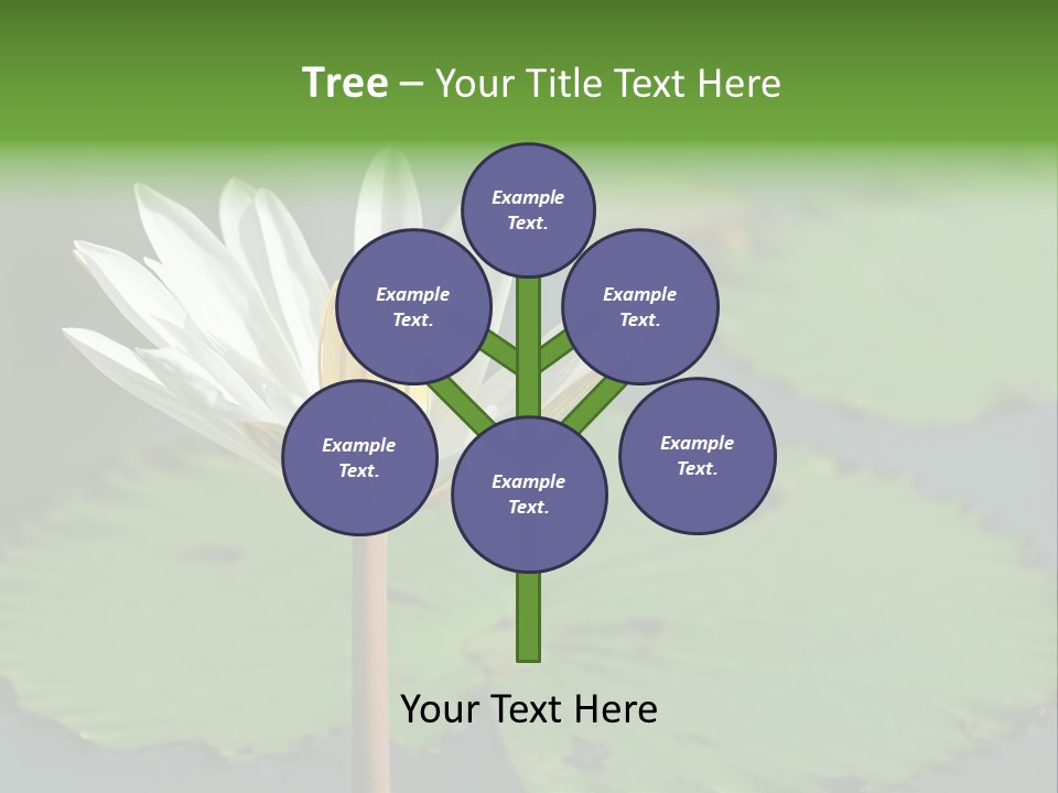 Exotic Leaf Card PowerPoint Template