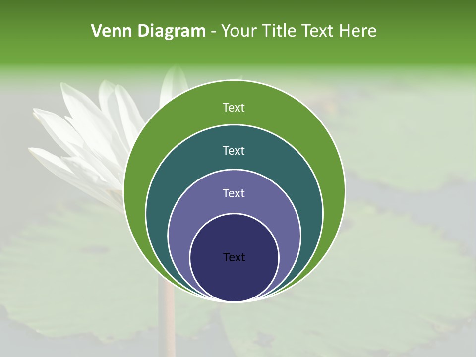 Exotic Leaf Card PowerPoint Template