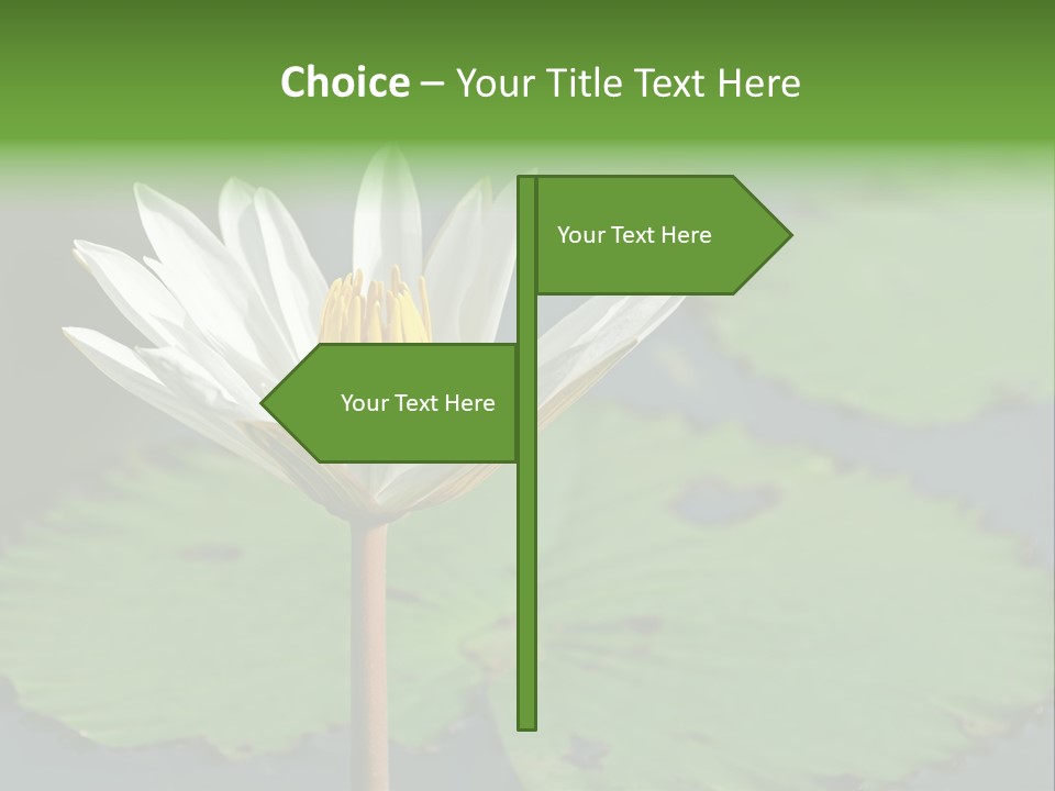 Exotic Leaf Card PowerPoint Template