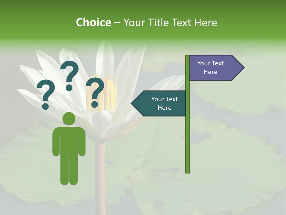 Exotic Leaf Card PowerPoint Template