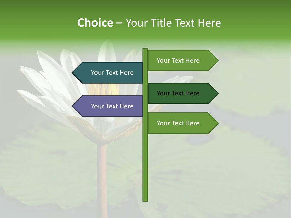 Exotic Leaf Card PowerPoint Template