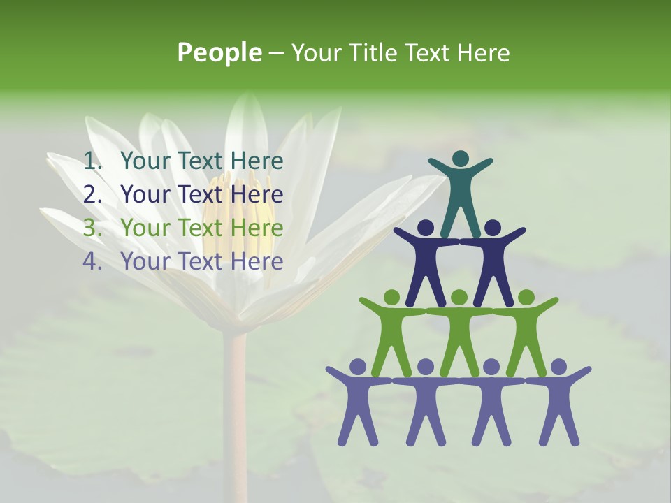 Exotic Leaf Card PowerPoint Template