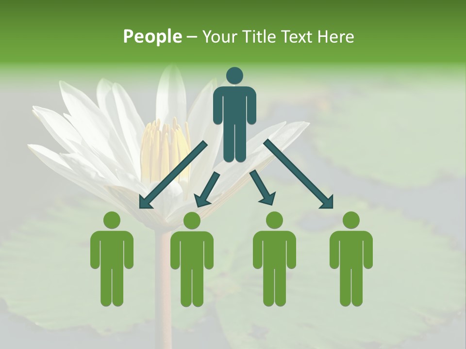 Exotic Leaf Card PowerPoint Template