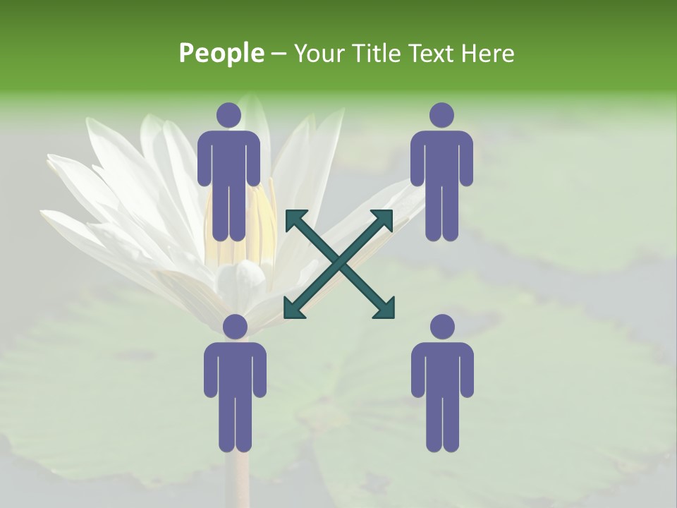 Exotic Leaf Card PowerPoint Template