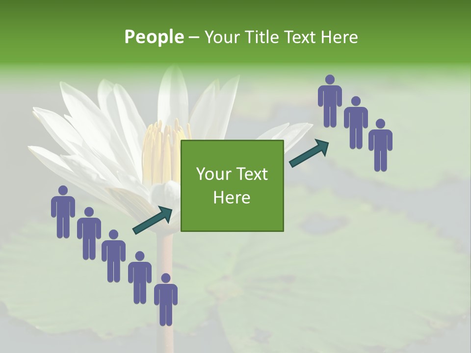 Exotic Leaf Card PowerPoint Template