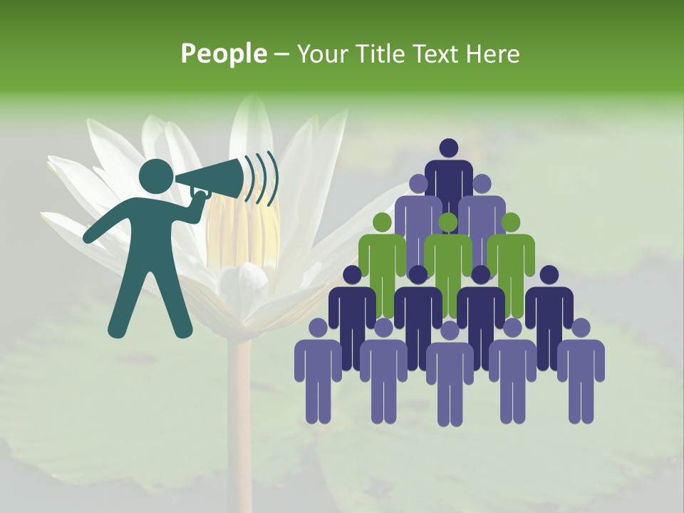 Exotic Leaf Card PowerPoint Template