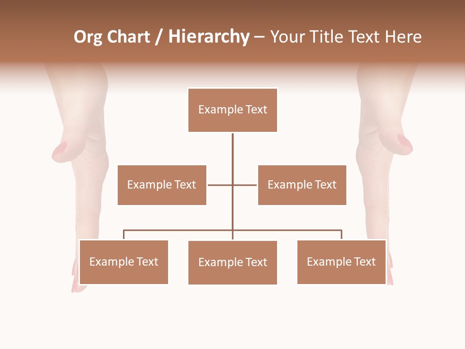 Take Closeup Bringing PowerPoint Template