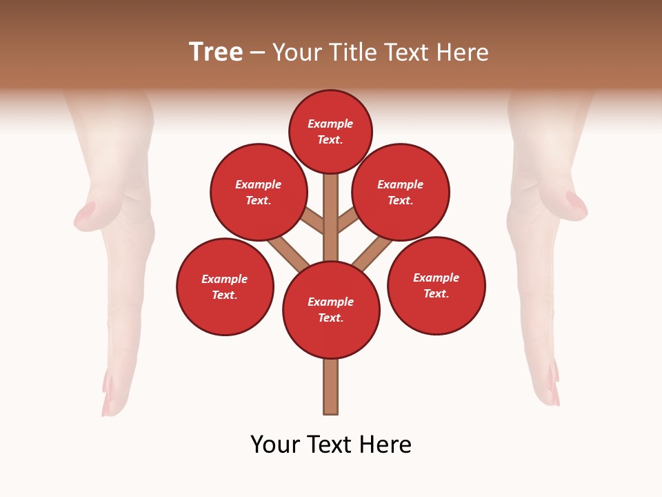 Take Closeup Bringing PowerPoint Template