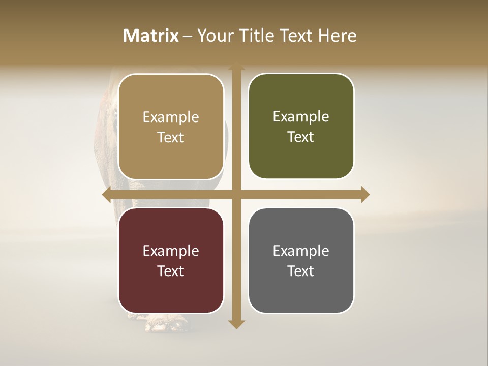 Africa Desert Fog PowerPoint Template