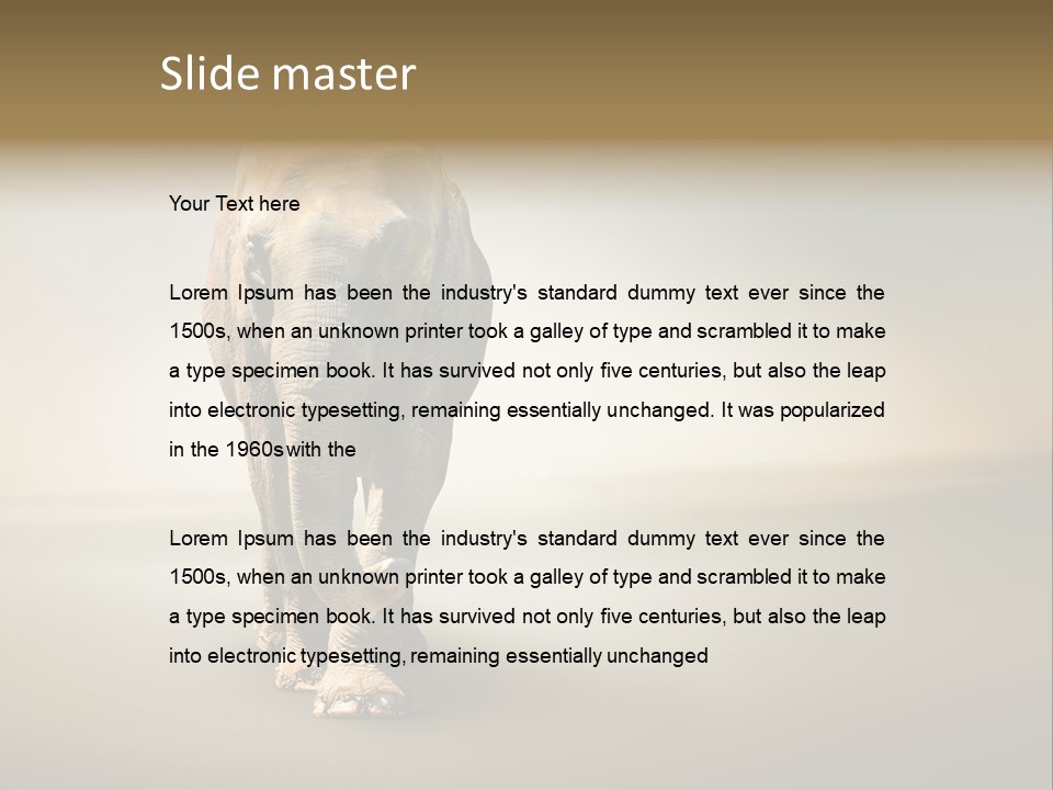 Africa Desert Fog PowerPoint Template