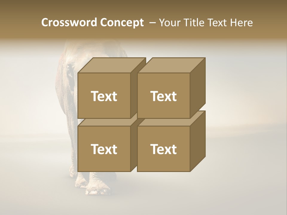 Africa Desert Fog PowerPoint Template