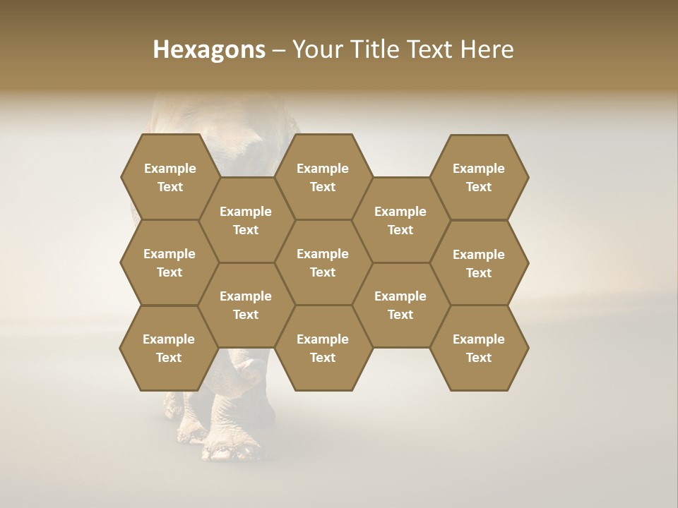 Africa Desert Fog PowerPoint Template