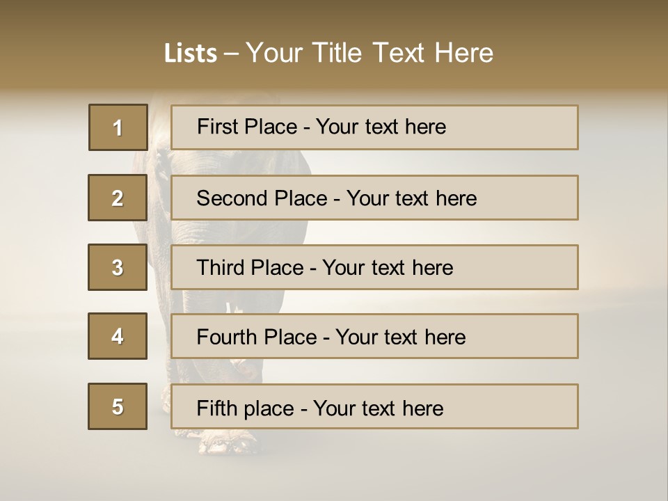 Africa Desert Fog PowerPoint Template