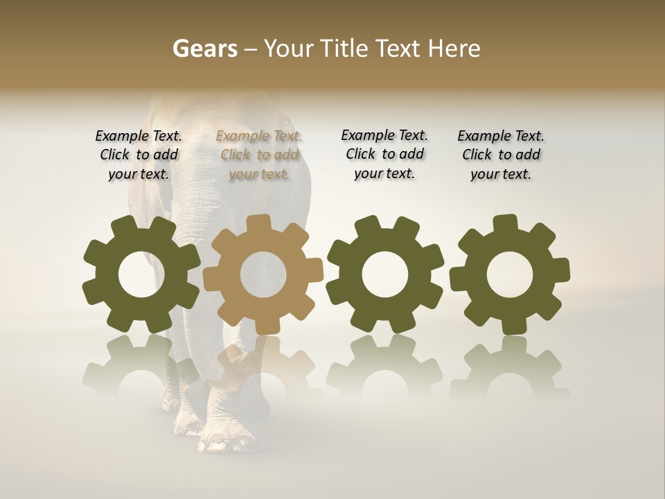 Africa Desert Fog PowerPoint Template