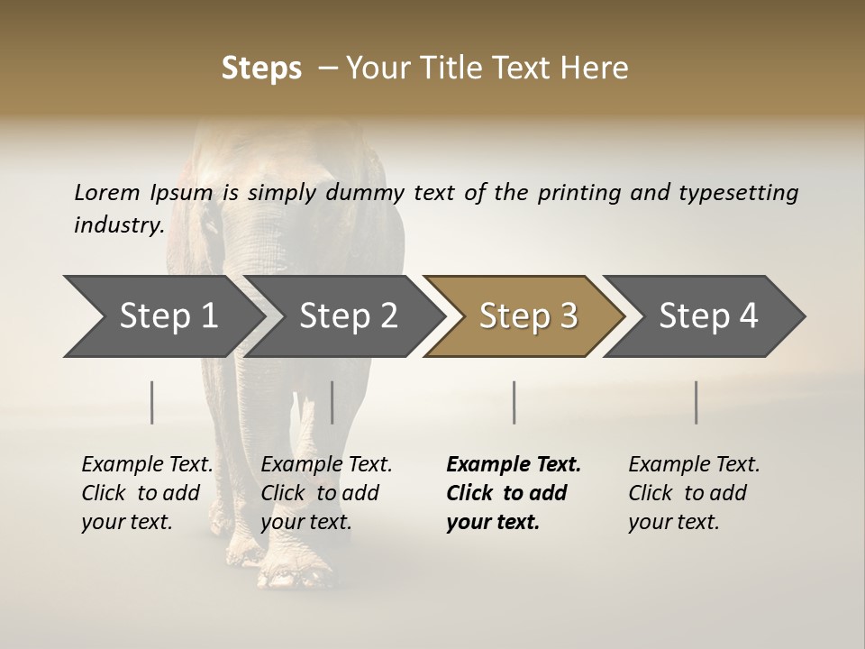Africa Desert Fog PowerPoint Template