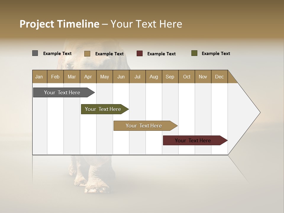 Africa Desert Fog PowerPoint Template