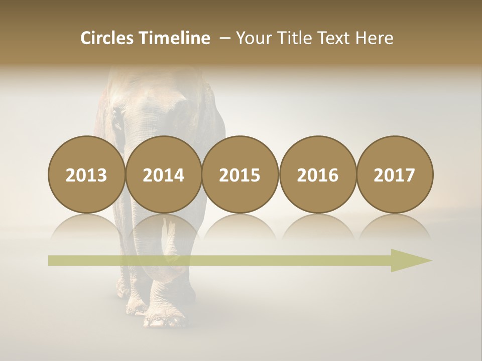 Africa Desert Fog PowerPoint Template