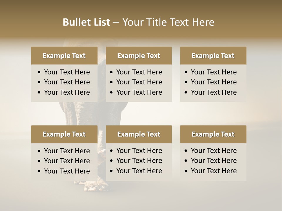 Africa Desert Fog PowerPoint Template