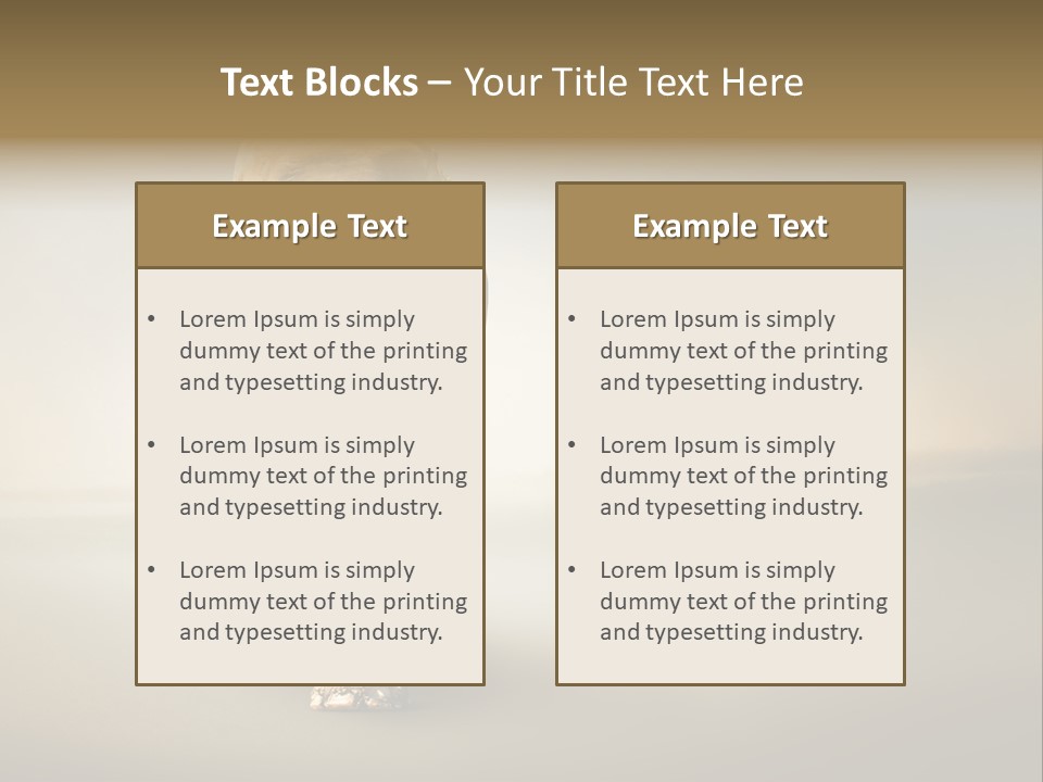 Africa Desert Fog PowerPoint Template