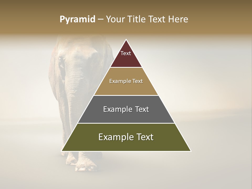 Africa Desert Fog PowerPoint Template