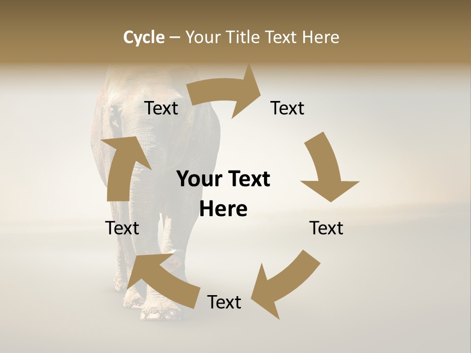 Africa Desert Fog PowerPoint Template