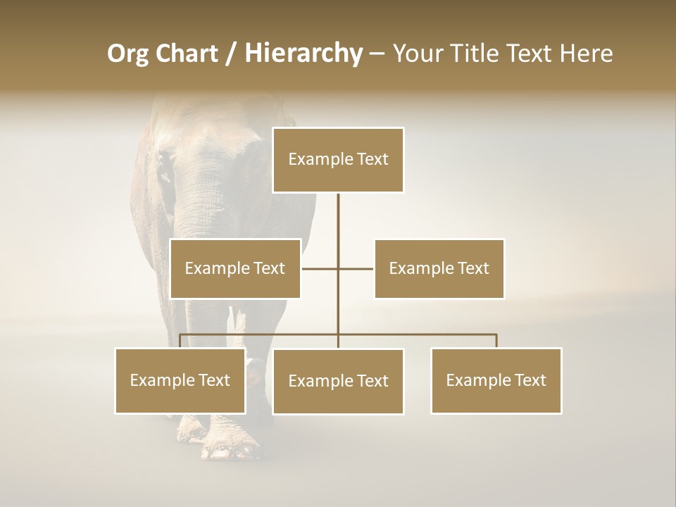 Africa Desert Fog PowerPoint Template