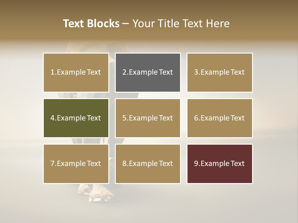 Africa Desert Fog PowerPoint Template