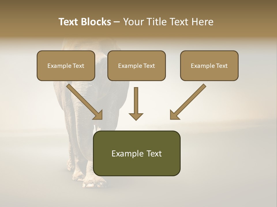 Africa Desert Fog PowerPoint Template