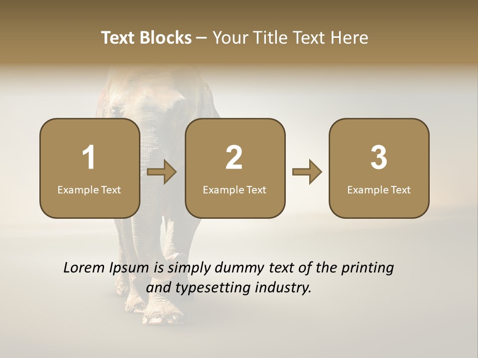 Africa Desert Fog PowerPoint Template