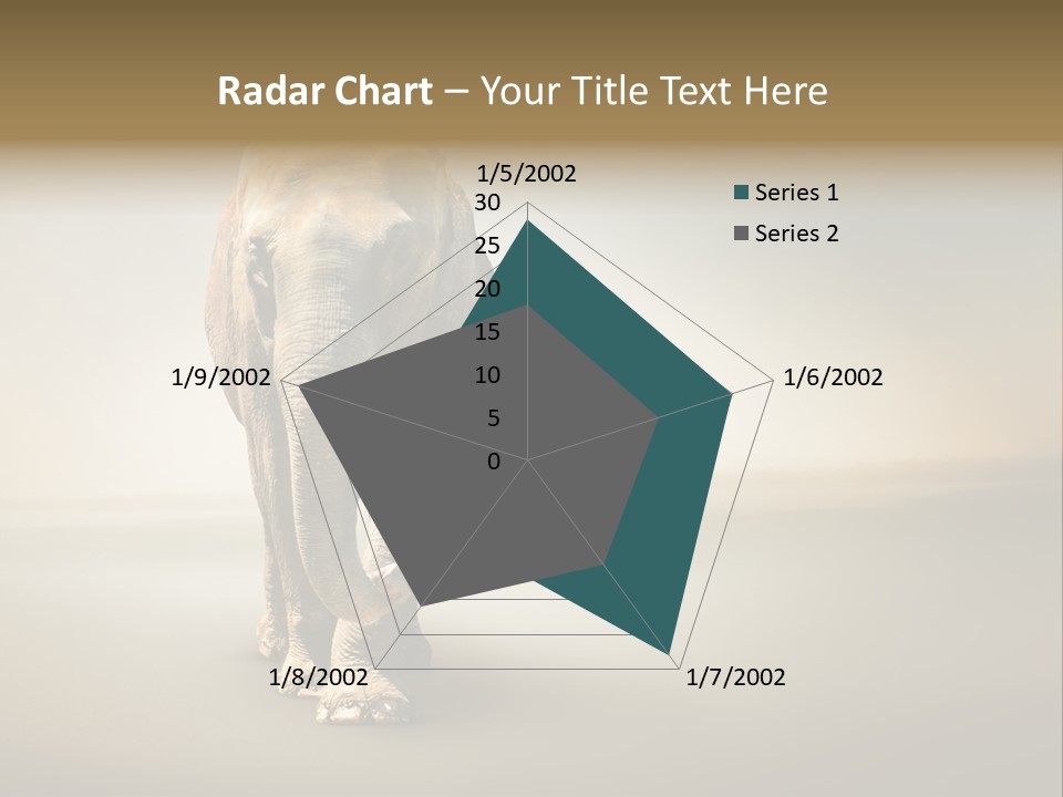 Africa Desert Fog PowerPoint Template