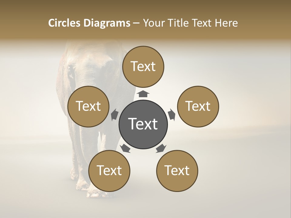 Africa Desert Fog PowerPoint Template