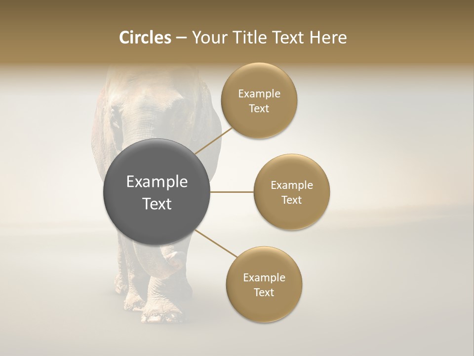 Africa Desert Fog PowerPoint Template