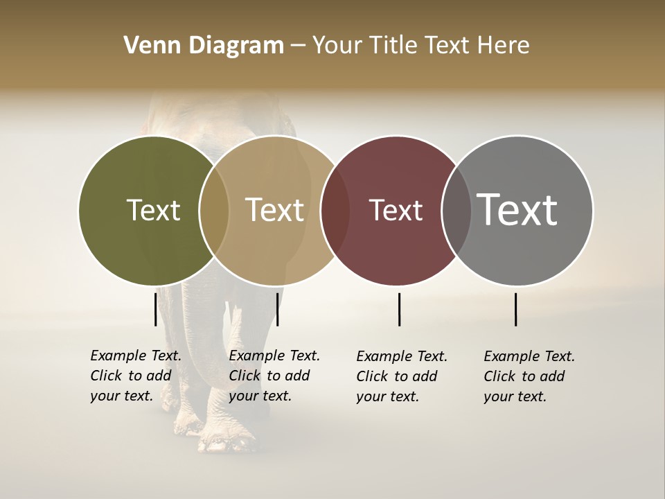 Africa Desert Fog PowerPoint Template