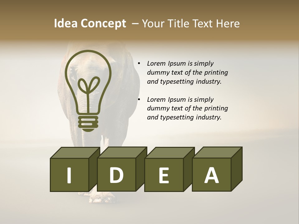 Africa Desert Fog PowerPoint Template