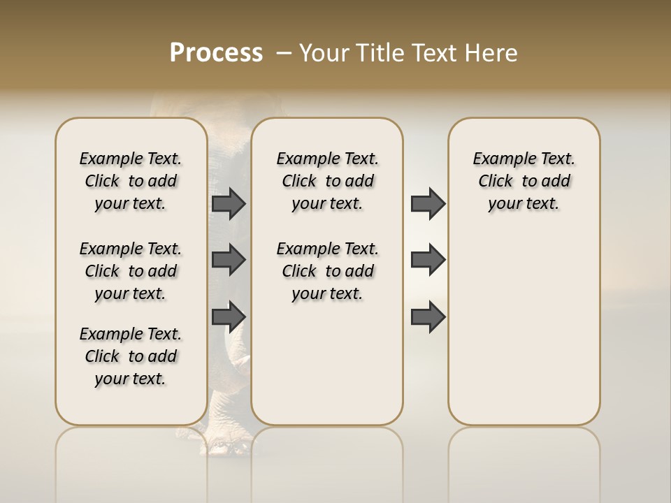 Africa Desert Fog PowerPoint Template