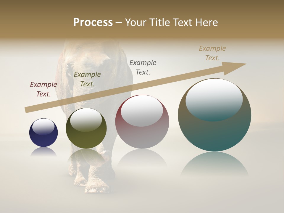 Africa Desert Fog PowerPoint Template