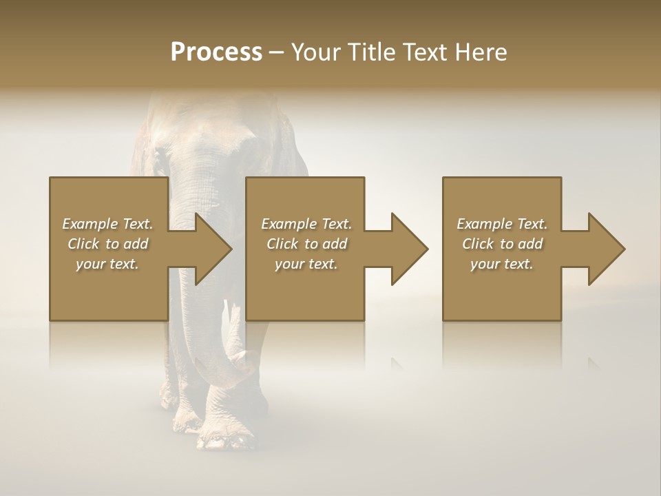 Africa Desert Fog PowerPoint Template