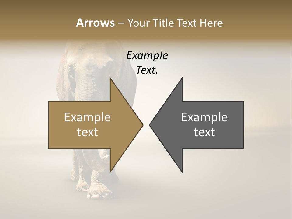 Africa Desert Fog PowerPoint Template