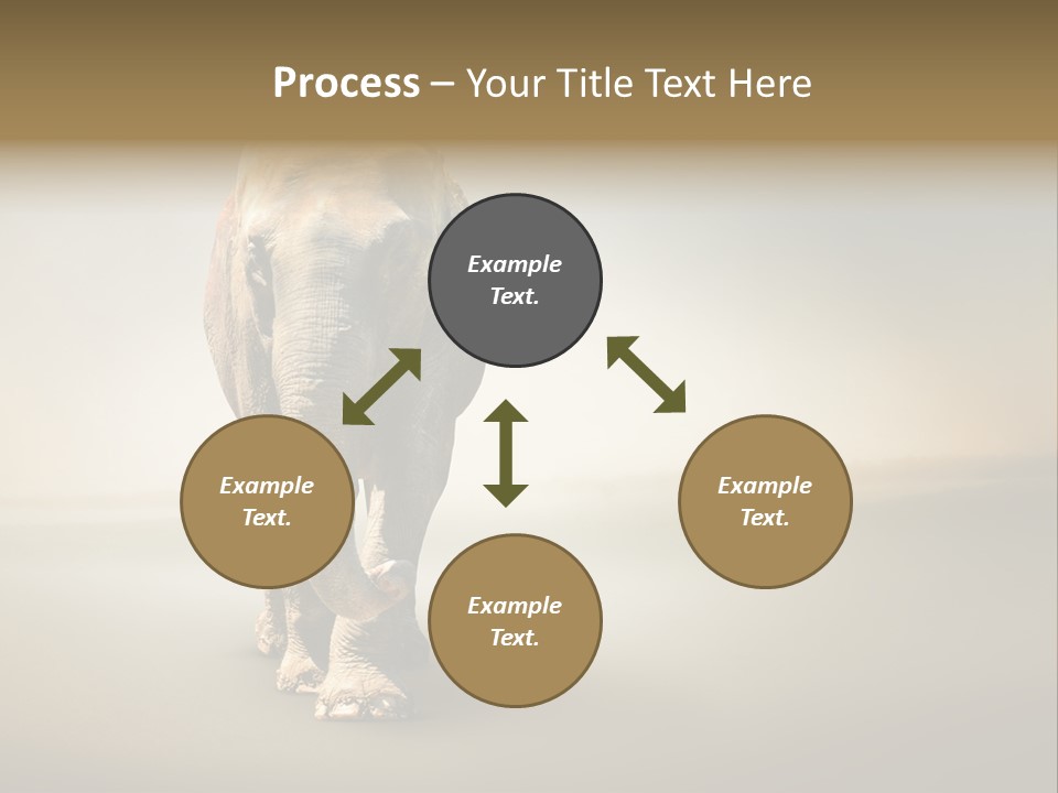 Africa Desert Fog PowerPoint Template