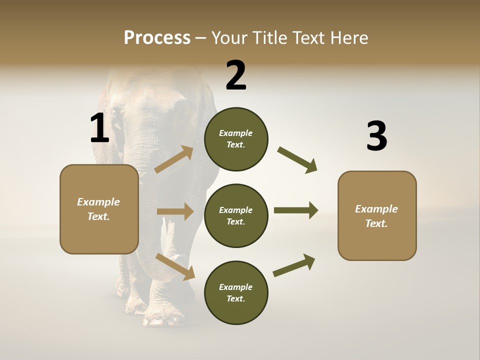Africa Desert Fog PowerPoint Template