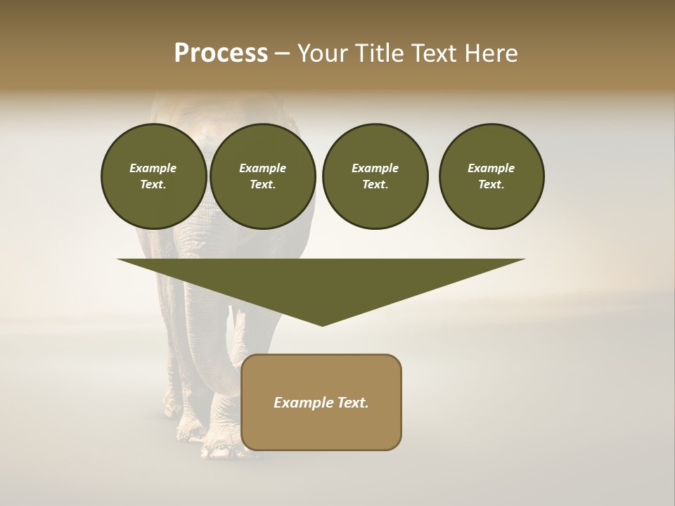 Africa Desert Fog PowerPoint Template