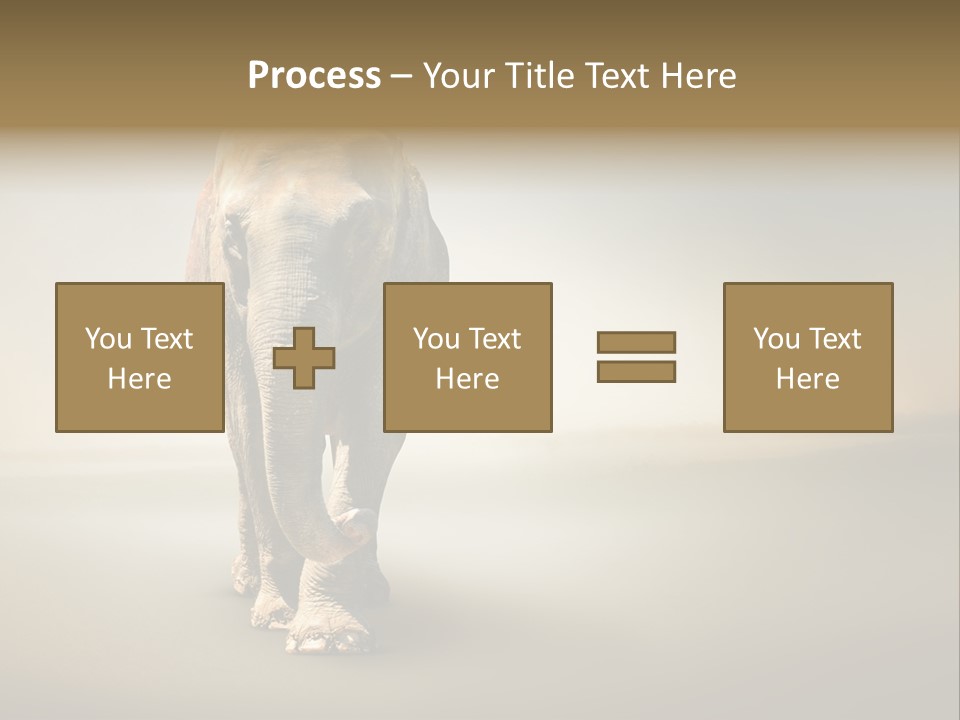 Africa Desert Fog PowerPoint Template