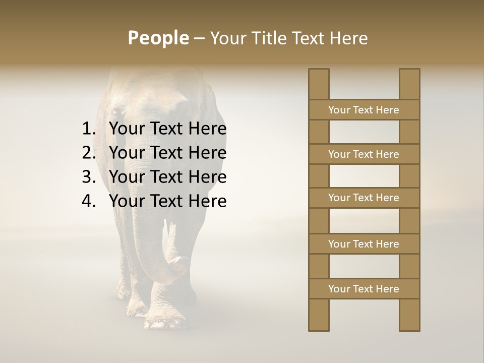 Africa Desert Fog PowerPoint Template