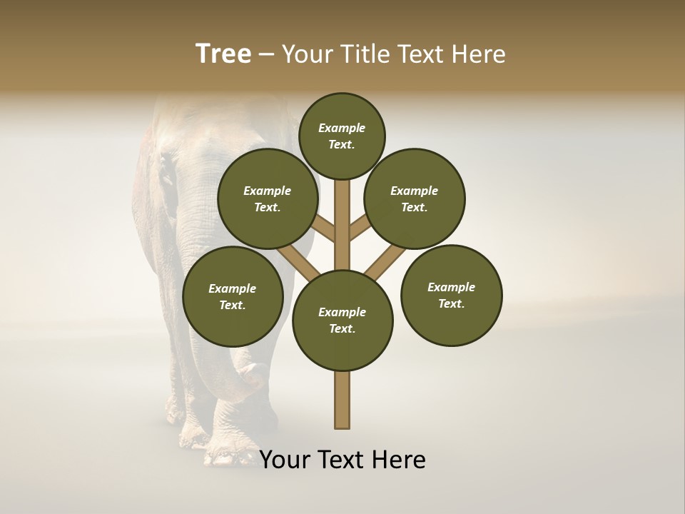 Africa Desert Fog PowerPoint Template