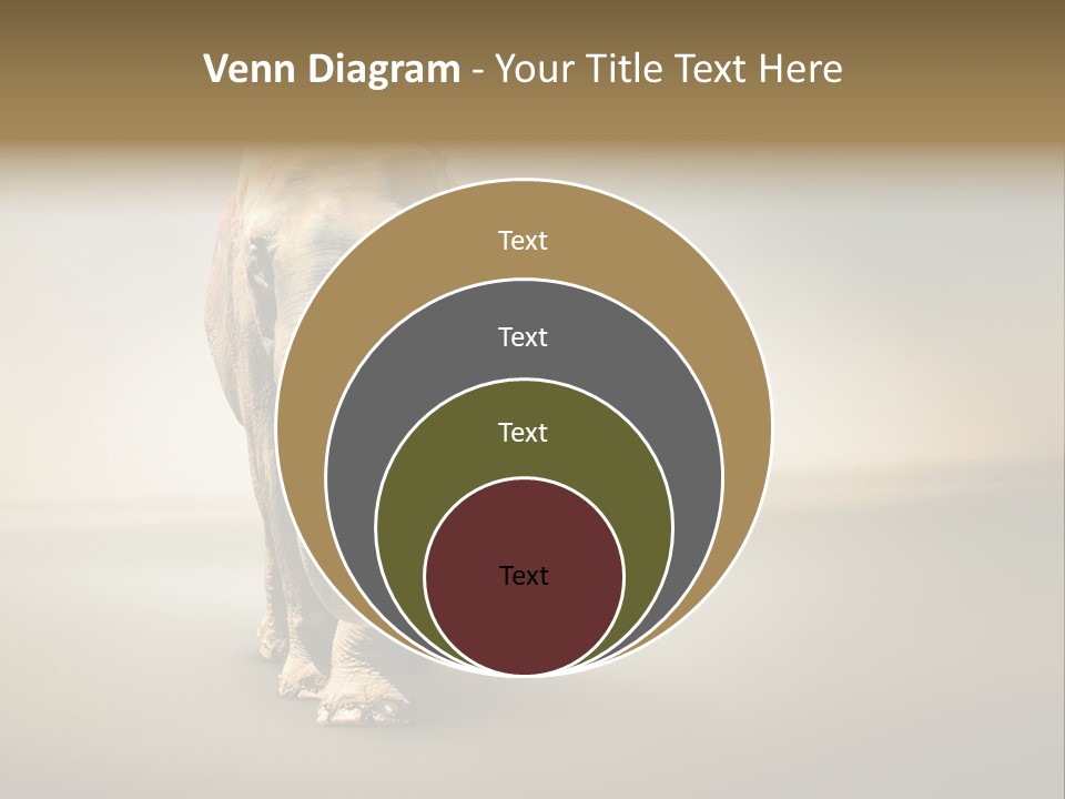 Africa Desert Fog PowerPoint Template