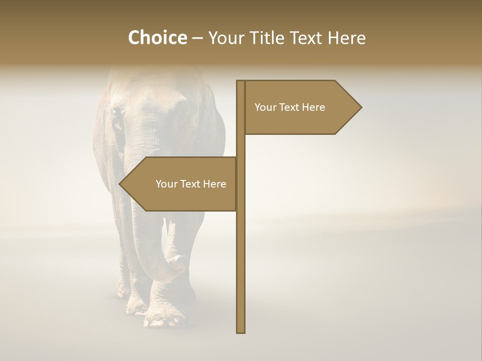 Africa Desert Fog PowerPoint Template