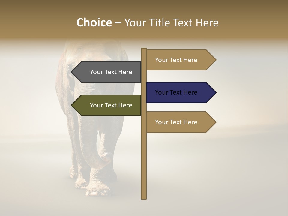 Africa Desert Fog PowerPoint Template