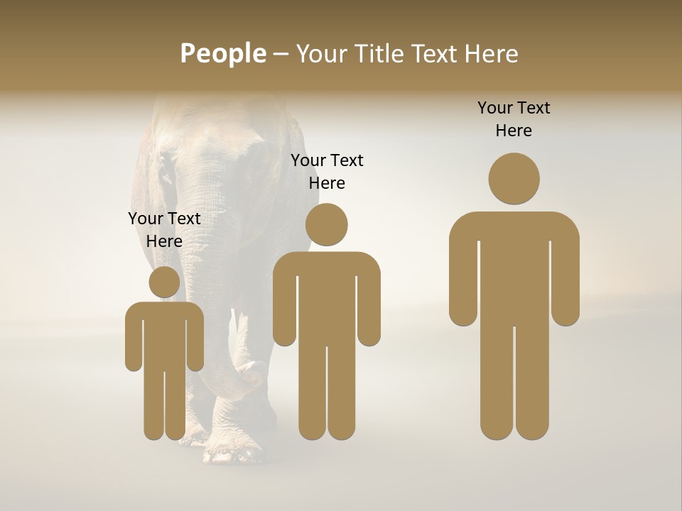 Africa Desert Fog PowerPoint Template