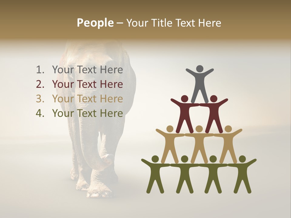 Africa Desert Fog PowerPoint Template