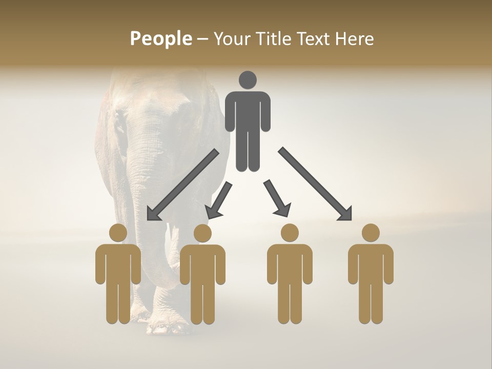 Africa Desert Fog PowerPoint Template